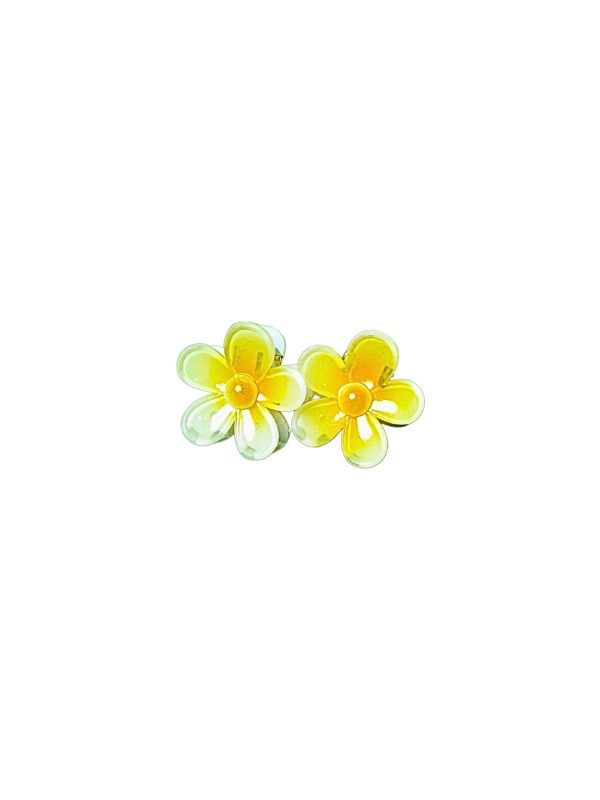 Hair Clips (Small)